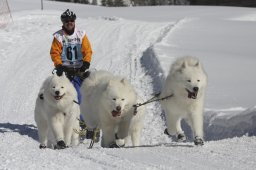 Kandersteg 2013